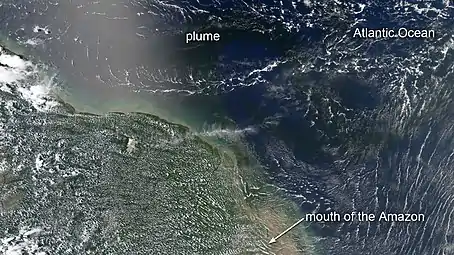 Blooms flourish in a dark plume of nutrient-rich water pouring from the mouth of the Amazon River, as seen by NASA's Aqua satellite.