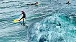 Surfers off of Santa Cruz