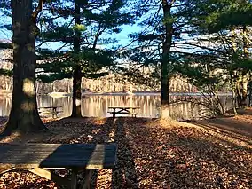 Allen Brook Pond in Wharton Brook SP at dusk.