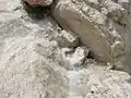 The glacier gives birth to the small stream