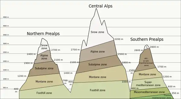 Image 13Life zones of the Alps (from Climate of the Alps)