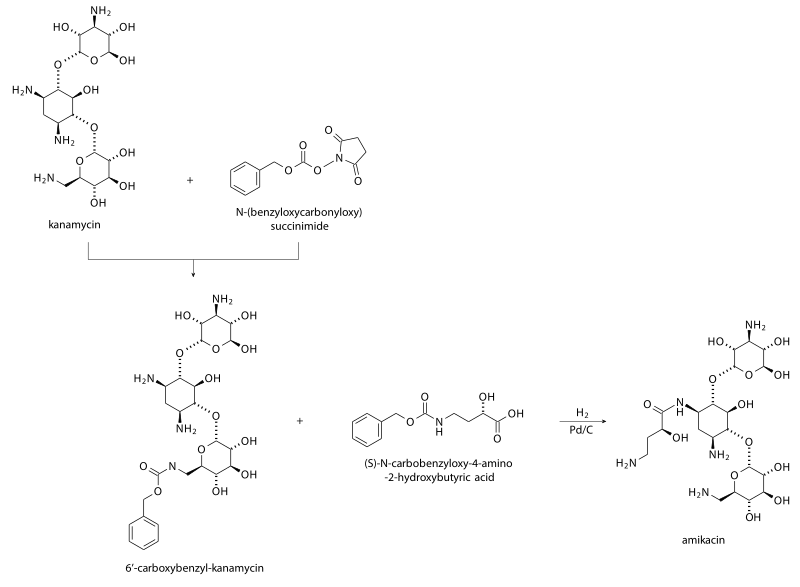 The synthesis of amikacin