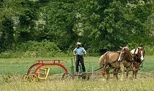 Amish man from one of the very plain "one suspender" groups in southeast Ohio