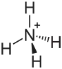 The ammonium cation