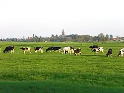 View of Nes aan de Amstel