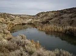 Upper Ana River habitat near Summer Lake, Oregon