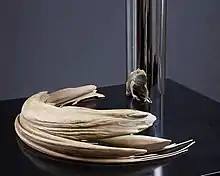 Anamorphic frog sculpture by Jonty Hurwitz