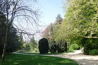 View towards the pond