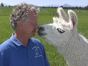 Andy Tillman with llama