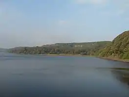 A reservoir surrounded by trees