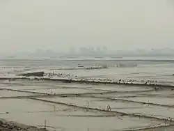 Dongshi skyline seen from across the Anhai Bay