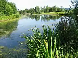 A small lake