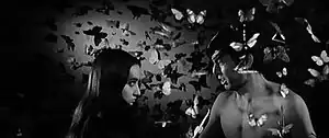 A shirtless man shouts at a woman. Dozens of butterflies are pinned to the wall behind them and drapped from the ceiling in front.