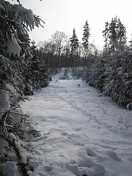 Teilansicht von Norden auf das Plateau of the Suterkopf