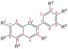 Structure of anthocyanins, the blue pigments in blueberries.