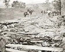 Confederate dead at Bloody Lane, looking northeast from the south bank. Alexander Gardner photograph.