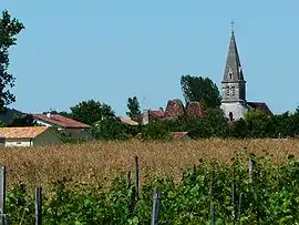 A general view of Antonne