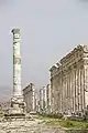 The votive column standing opposite the baths