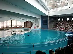 The Marine Mammal Pavilion on Pier 4