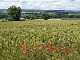 Arable land near Newton