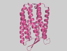 Tertiary structure scheme of Archaerhodopsin.