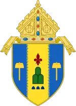 Archdiocese of Palo