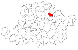 Location in Arad County