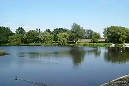 A lake surrounded by trees