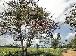 Area of La Poza de Pachy in Playuela, a sector and beach in Borinquen