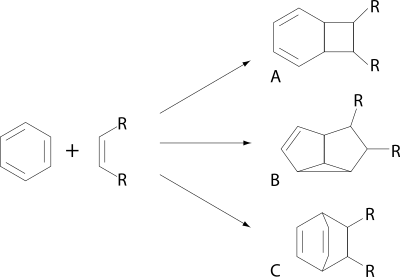 Arene photocycloadditions