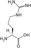 L-Arginine(Arg / R)