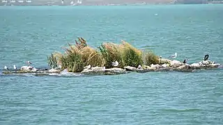 at Lake Sevan