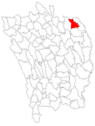 Location in Vaslui County