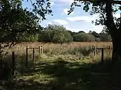 Ash Moor nature reserve