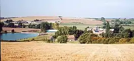 A lake surrounded by golden cornfields