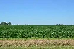 Fields west of Ashkum