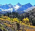 Mt. Haeckel centered, top of Wallace behind ridge to left