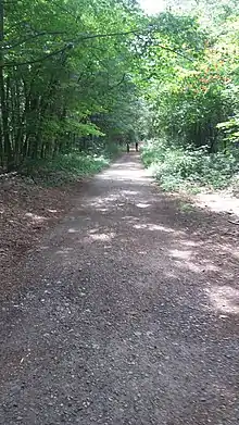 Path near the Old Marlboro Road entrance in Maynard