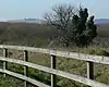 Castle Hill area from Astill Lodge Road, Leicester