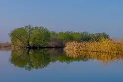 Astrakan Reserve, Vodolarsky District