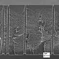 Asymmetric ion track channels with strongly reduced top diameter.