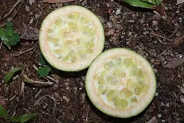 Cut fruit