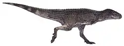 Aucasaurus garridoi