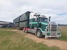 A Australian Kenworth unloading cattle on a farm in NSW.