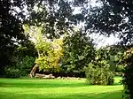 A corner of parkland with trees