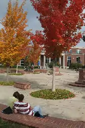 Library quad