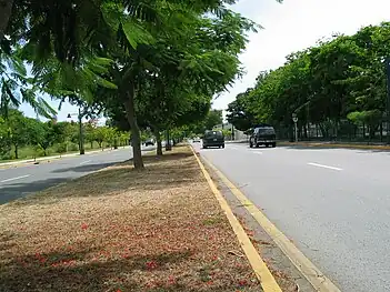 PR-14 (a.k.a. Avenida Tito Castro) west of PR-10, looking west