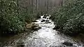 Jake's Creek Upstream View