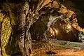 Býčí skála cave, interior