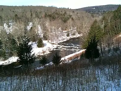 Winter forest vista with river